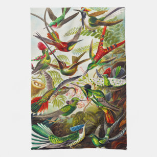 Vintage Hummingbirds by Ernst Haeckel Tea Towel