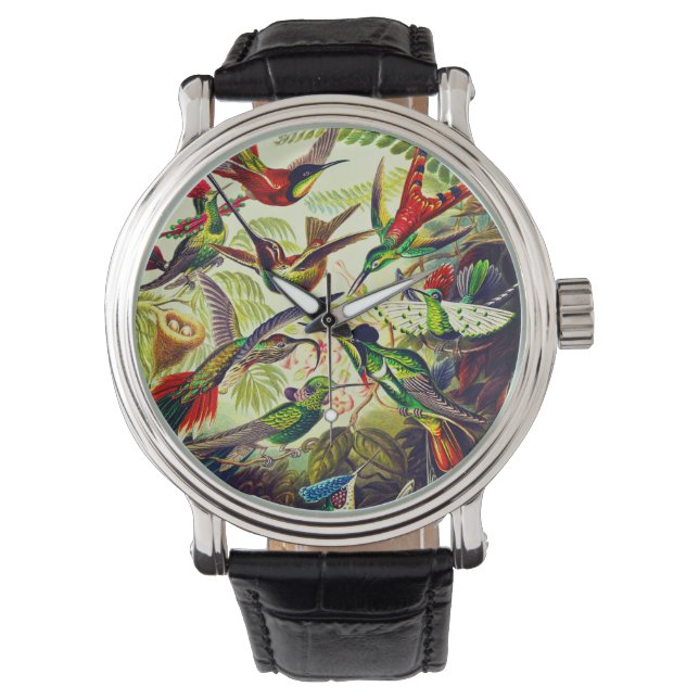 Vintage Hummingbirds by Ernst Haeckel Watch (Front)