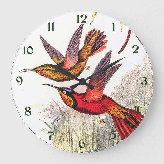 Vintage Hummingbirds by John Gould Large Clock (Front)