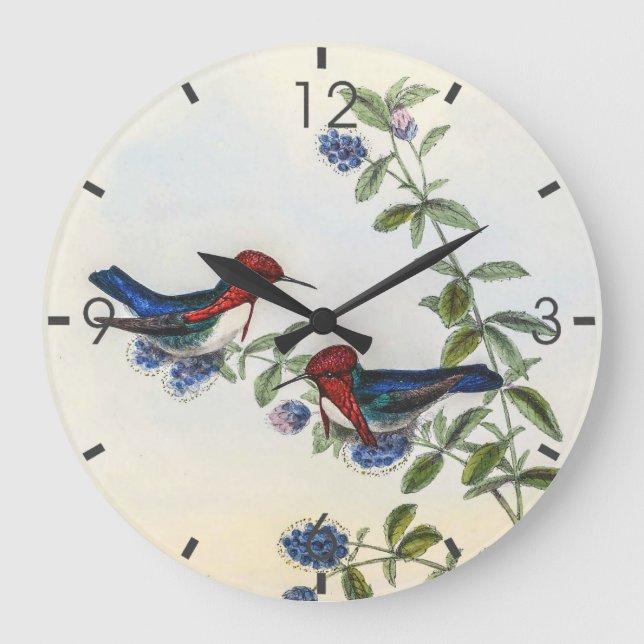 Vintage Hummingbirds by John Gould Large Clock (Front)