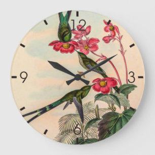 Vintage Hummingbirds by John Gould Large Clock