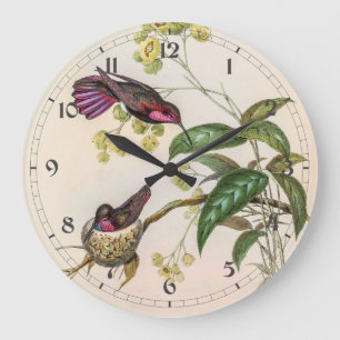 Vintage Hummingbirds by John Gould Large Clock