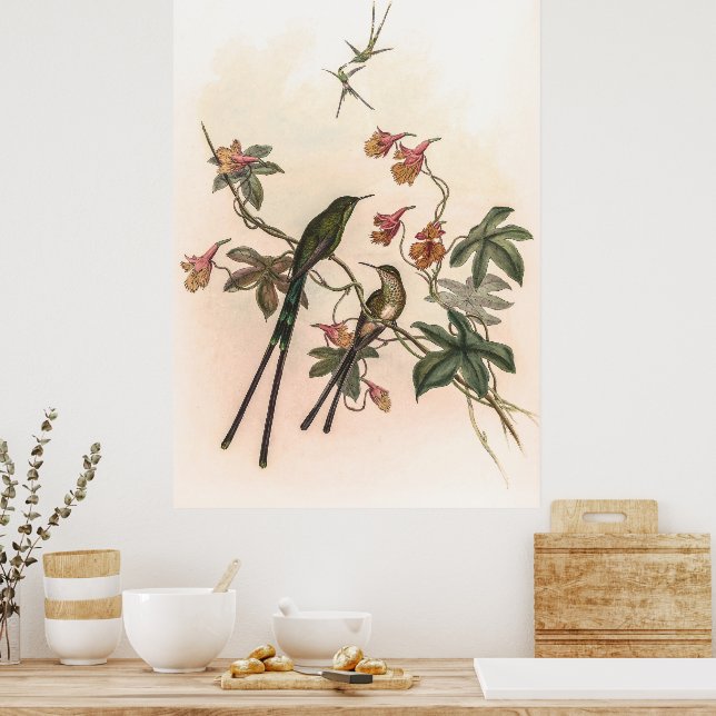 Vintage Hummingbirds by John Gould Poster (Kitchen)