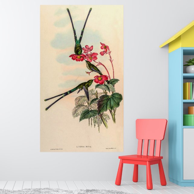 Vintage Hummingbirds by John Gould Poster (Nursery 1)