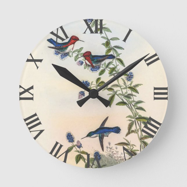 Vintage Hummingbirds by John Gould Round Clock (Front)