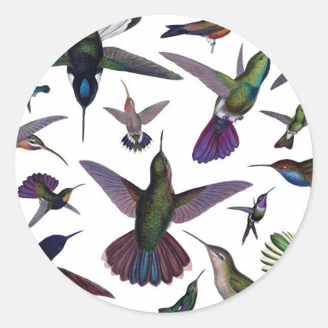 Vintage Hummingbirds Classic Round Sticker (Front)
