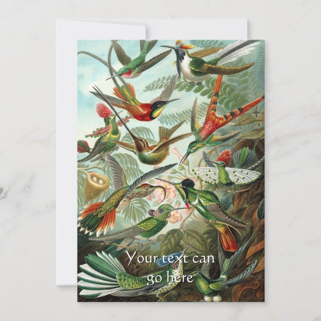 Vintage Hummingbirds Invitation (Front)