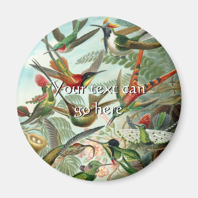 Vintage Hummingbirds Magnet (Front)