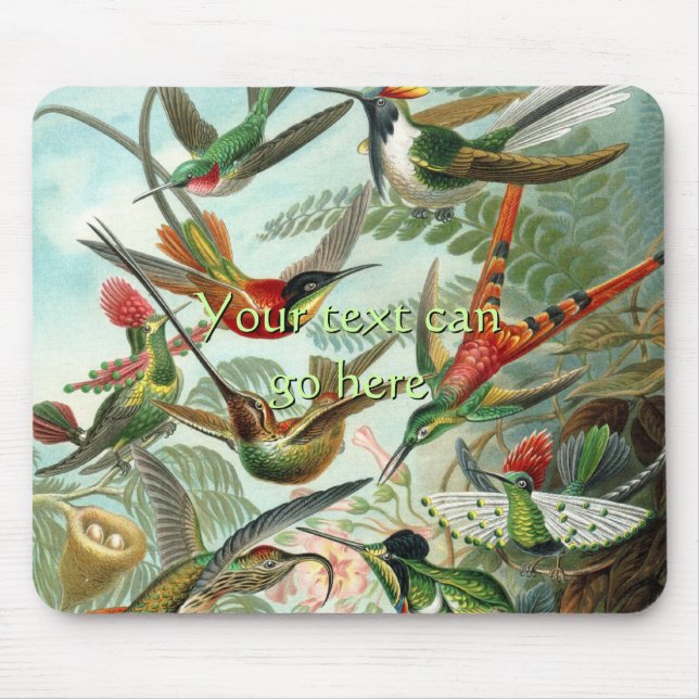 Vintage Hummingbirds Mouse Mat (Front)