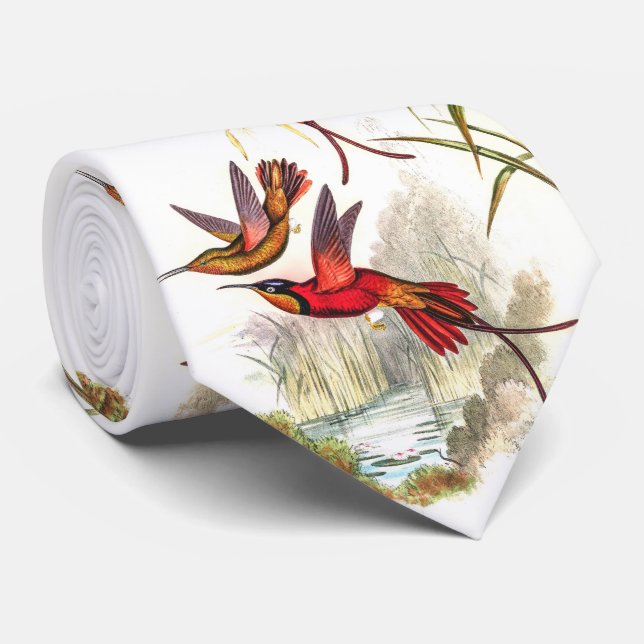 Vintage hummingbirds neck tie (Rolled)