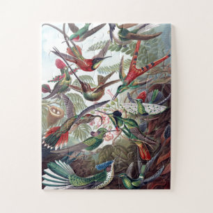 Vintage Hummingbirds Old Book Illustration Art Jigsaw Puzzle