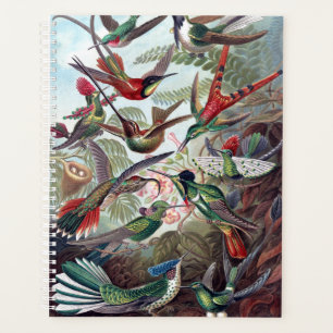 Vintage Hummingbirds Planner