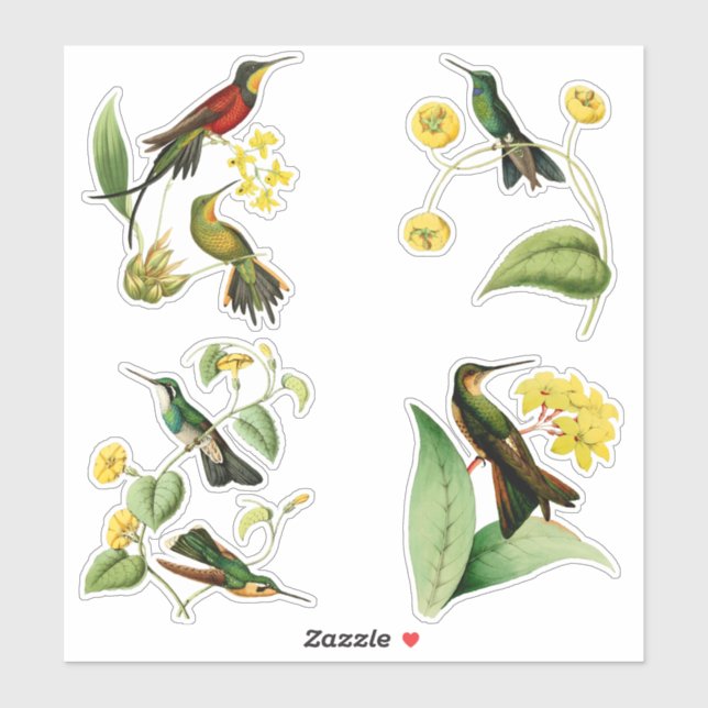 Vintage Hummingbirds with Tropical Plants (Sheet)