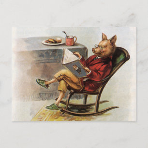Vintage Humour, Pig in Rocking Chair Reading a Boo Postcard