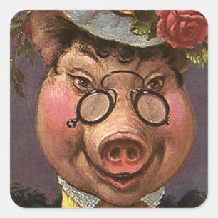 Vintage Humour, Silly and Funny Victorian Lady Pig Square Sticker