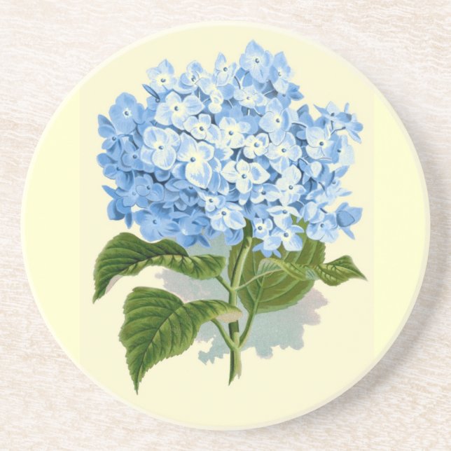 Vintage Hydrangea Coaster (Front)