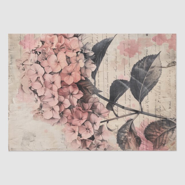 Vintage Hydrangea Illustration Parchment Decoupage Tissue Paper (Front)