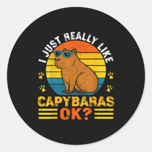 Vintage I Just Really Like Capybaras Ok Funny Capy Classic Round Sticker