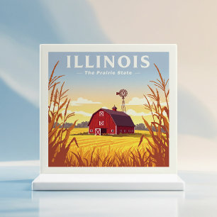Vintage Illinois Tile