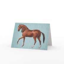 Vintage Illustrated Bay Horse Art Note Card