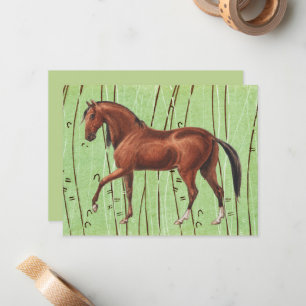 Vintage Illustrated Bay Horse Art Note Card Set