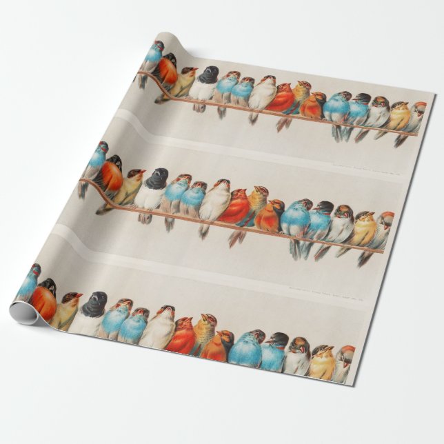Vintage Illustrated Birds Wrapping Paper (Unrolled)