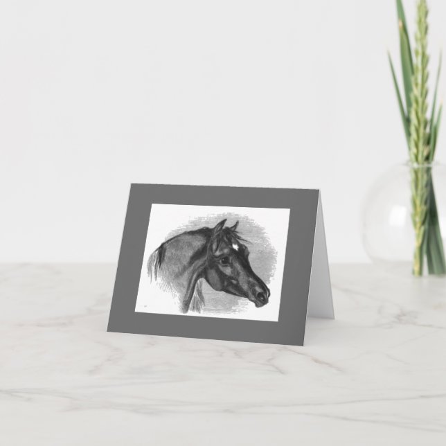 Vintage Illustration Arab Horse Note Card (Front)