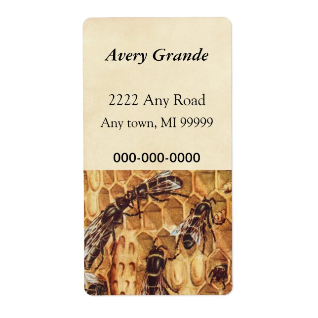 Vintage Illustration, Bees In A Hive (Front)