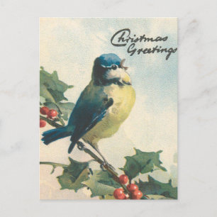Vintage illustration bird winter Christmas card