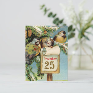 Vintage illustration birds cute Christmas card 