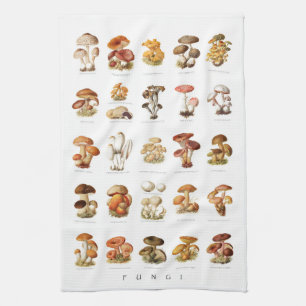 Vintage illustration chart edible mushrooms tea towel