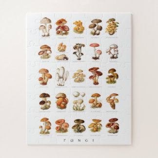 Vintage illustration edible non-edible mushrooms jigsaw puzzle