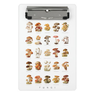 Vintage illustration edible non-edible mushrooms mini clipboard