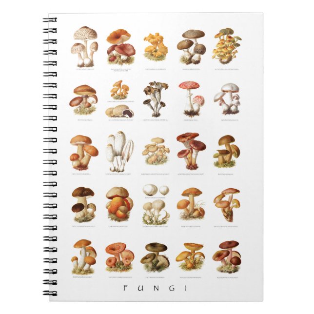 Vintage illustration edible non-edible mushrooms notebook (Front)