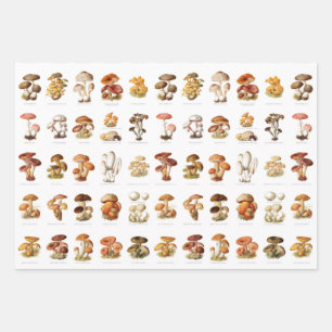 Vintage illustration edible non-edible mushrooms wrapping paper sheet