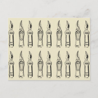 VINTAGE ILLUSTRATION Gardening Tools Pruners 2 Postcard