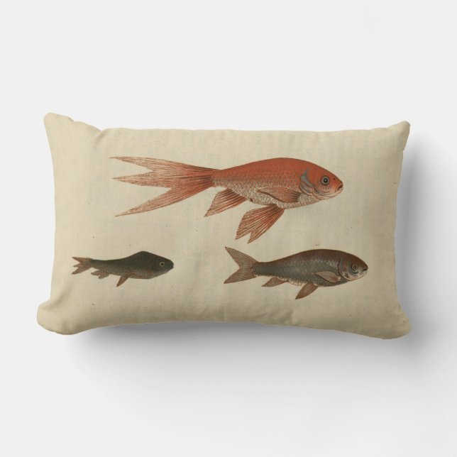 Vintage Illustration Goldfish Lumbar Cushion (Front)