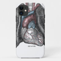 Vintage Illustration Grey's Anatomy Heart Lungs