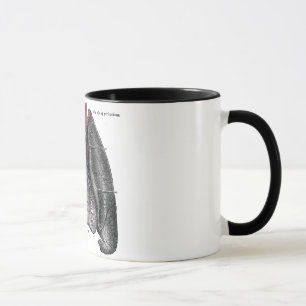 Vintage Illustration Grey's Anatomy Heart Lungs Mug