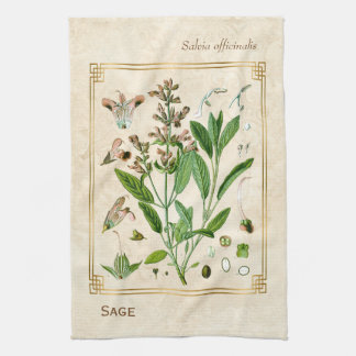 Vintage Illustration Herb Plant Sage Botanical Art Tea Towel