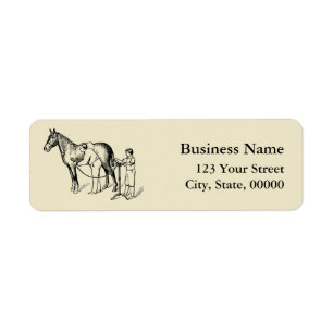 VINTAGE ILLUSTRATION Horse Clipping Address L