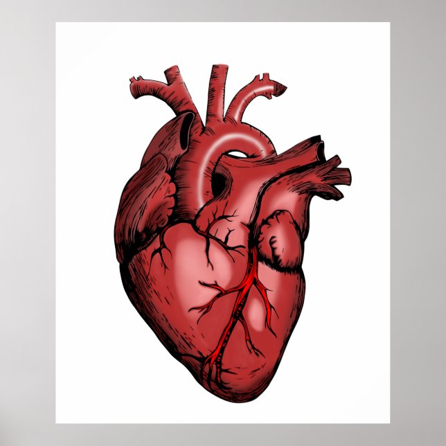 Vintage Illustration of a Heart Poster (Front)