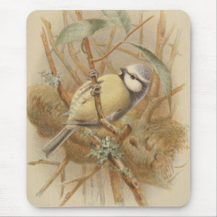 Vintage Illustration of Bluetit Mouse Mat