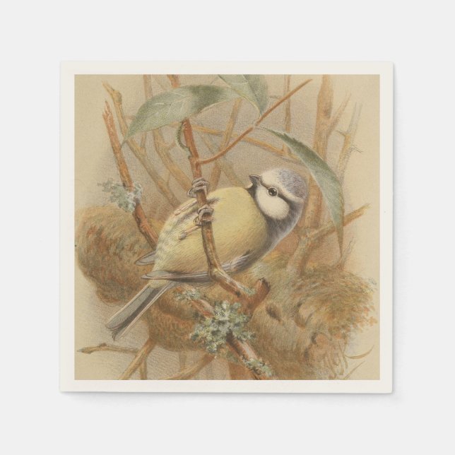 Vintage Illustration of Bluetit Napkin (Front)