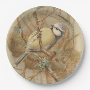 Vintage Illustration of Bluetit Paper Plate
