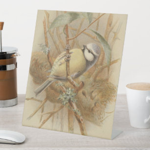 Vintage Illustration of Bluetit Pedestal Sign