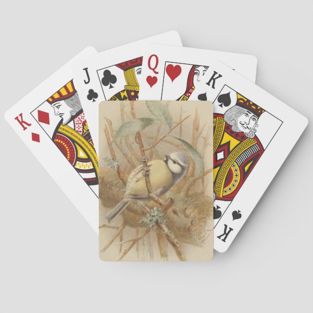 Vintage Illustration of Bluetit Playing Cards (Back)