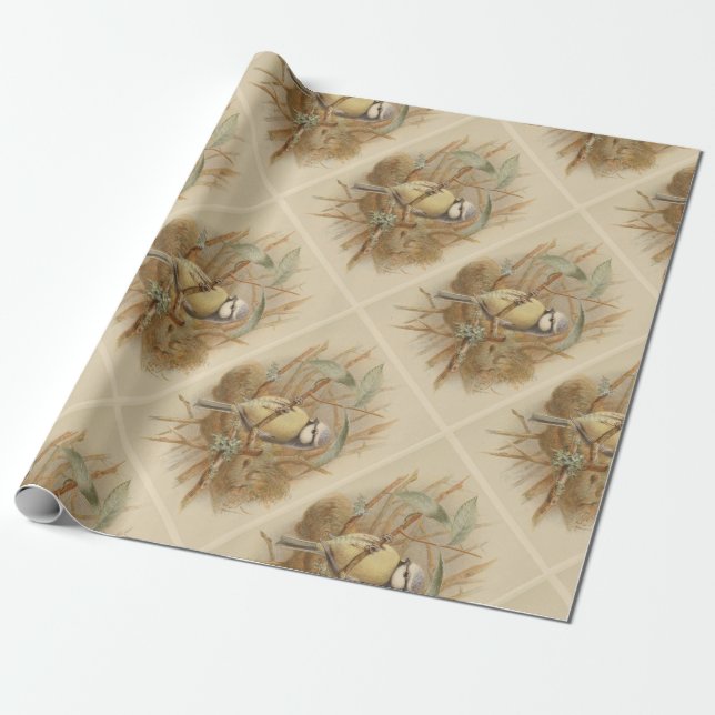 Vintage Illustration of Bluetit Wrapping Paper (Unrolled)