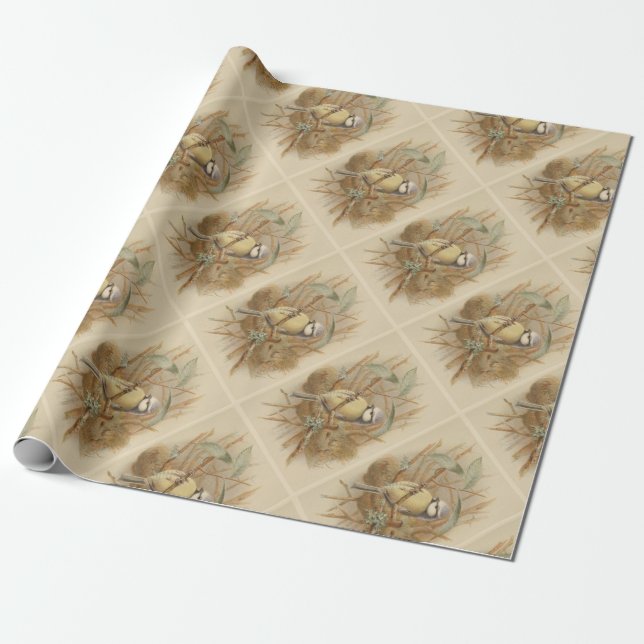 Vintage Illustration of Bluetit Wrapping Paper (Unrolled)