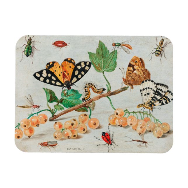 Vintage illustration of butterflies on berries magnet (Horizontal)